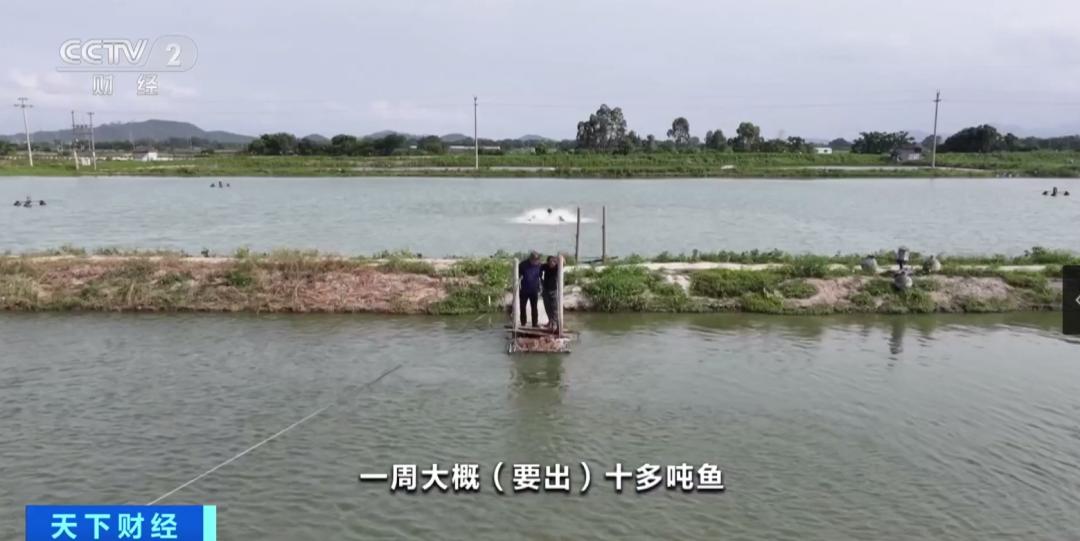 DƬ